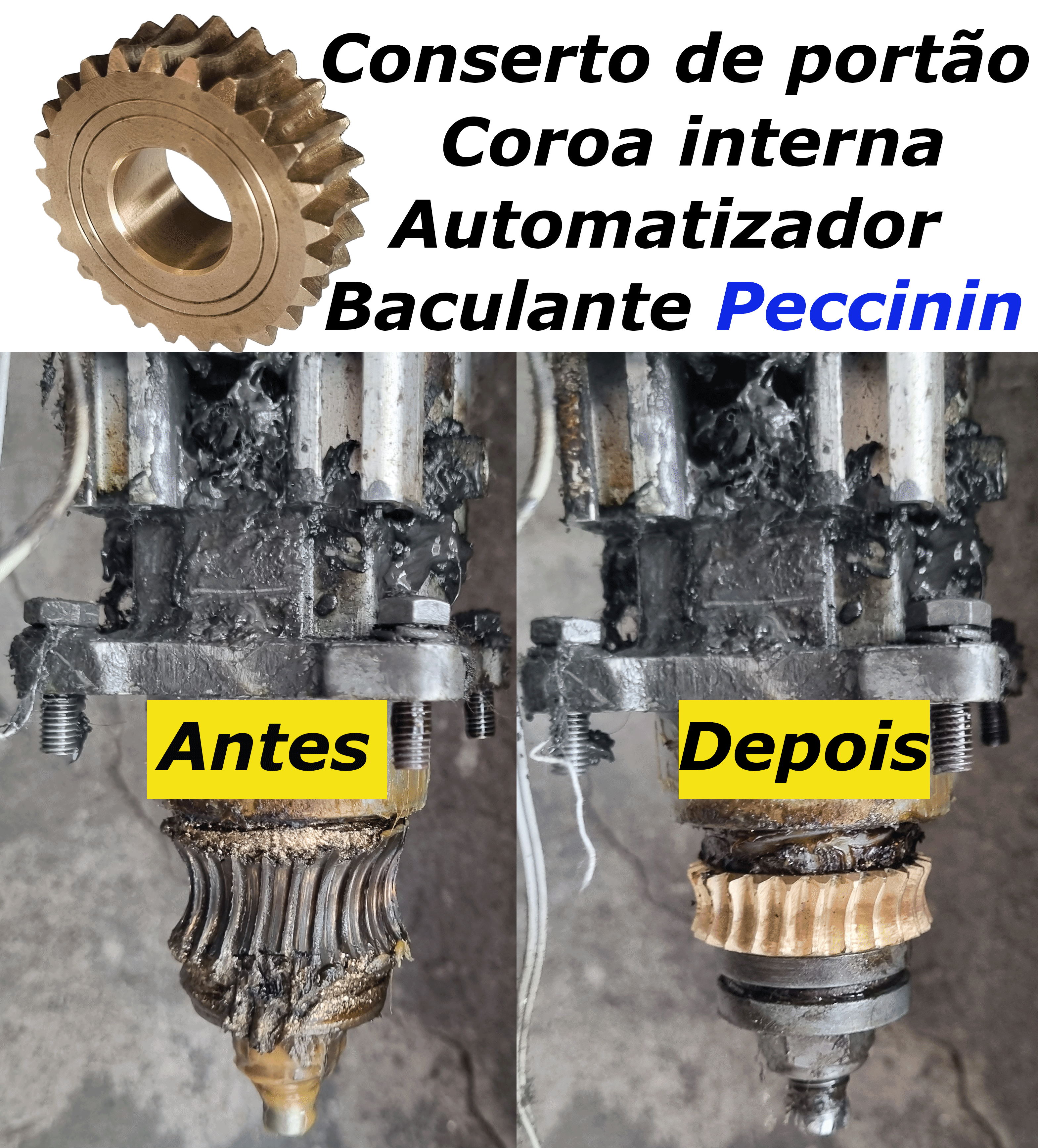 Coroa interna Peccinin basculante